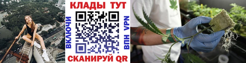 Где найти наркотики Демидов КОКАИН  Alpha PVP  ГАШ  Псилоцибиновые грибы  Меф 