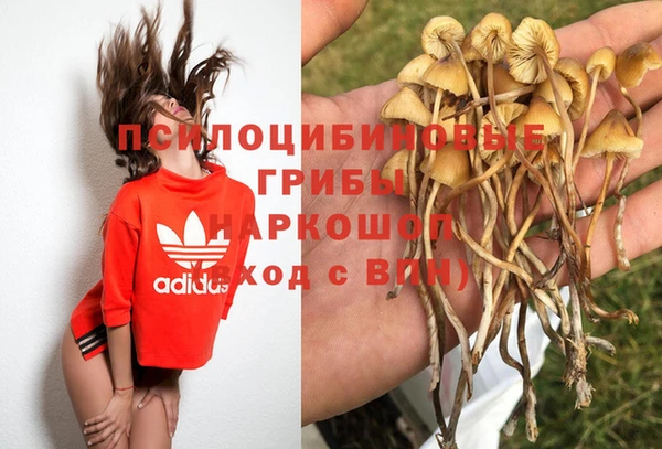 кокаин премиум Гатчина