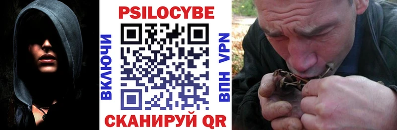 blacksprut как войти  Демидов  Галлюциногенные грибы мицелий 